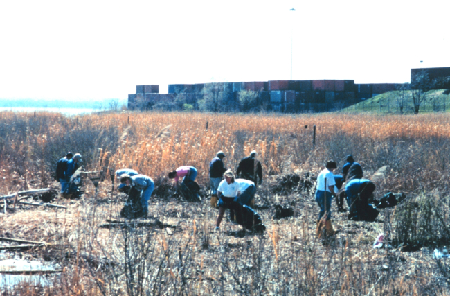 Volunteers helping clean up the wetlands and waterfront area around Fort McHenry in Baltimore Harbor