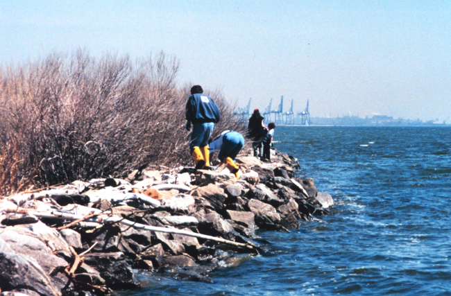 Volunteers helping clean up the wetlands and waterfront area around Fort McHenry in Baltimore Harbor
