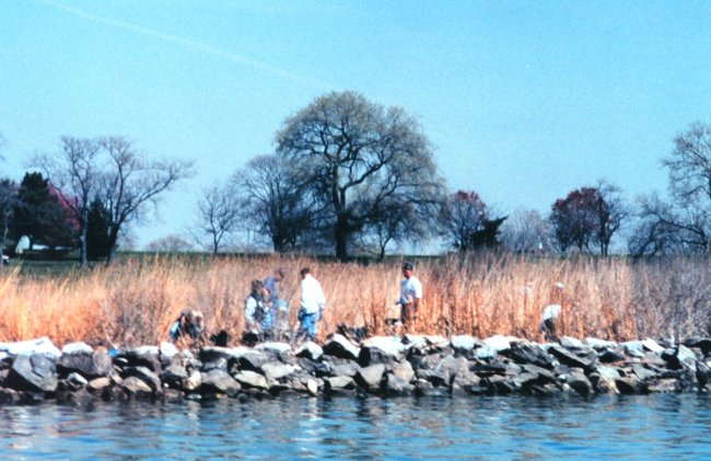 Volunteers helping clean up the wetlands and waterfront area around Fort McHenry in Baltimore Harbor