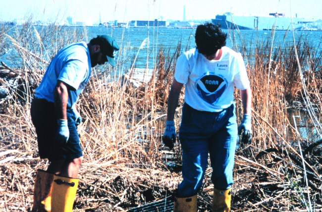 Volunteers helping clean up the wetlands and waterfront area around Fort McHenry in Baltimore Harbor