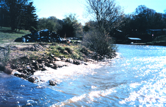 Removal of marsh grasses and SAV's next to this boat ramphave added to erosion problems in the area