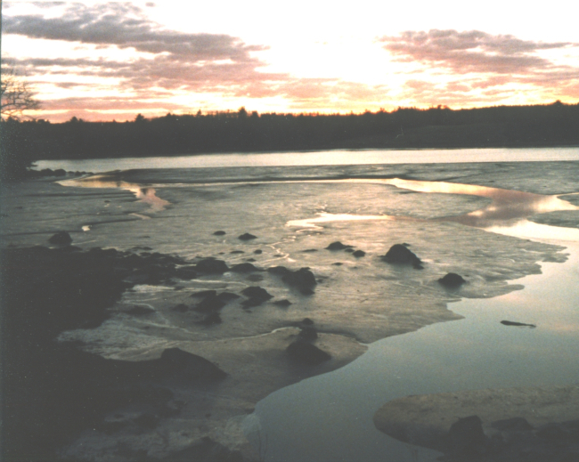 Penobscot River mudflat at low tide showing pattern of tidal streams