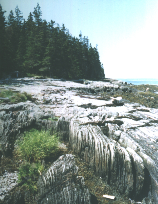 Vertical slate on 700 Acre Island