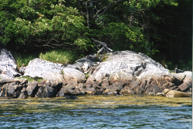 Pillow basalts indicating location of former oceanic spreading center