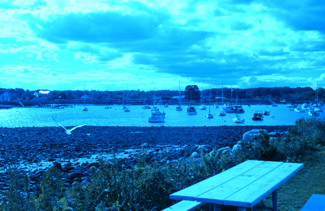 A view of the harbor at Odiorne Point State Park