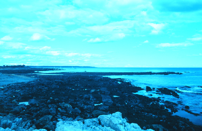 Rocky New Hampshire coastline
