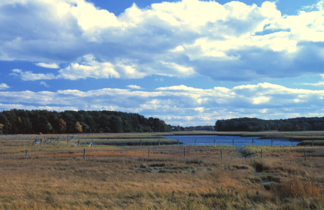 A view of wetlands at Great Bay National Estuarine Research Reserve
