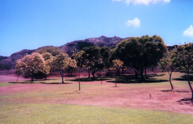 In the crater at Diamond Head State Park