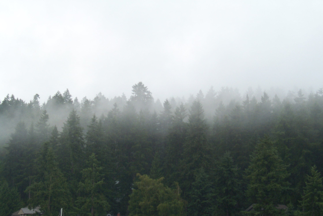 Low rain clouds as seen looking across Gig Harbor