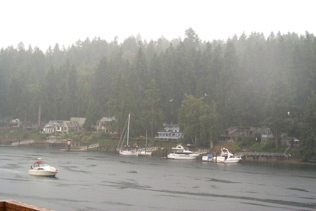 A rainy day at Gig Harbor