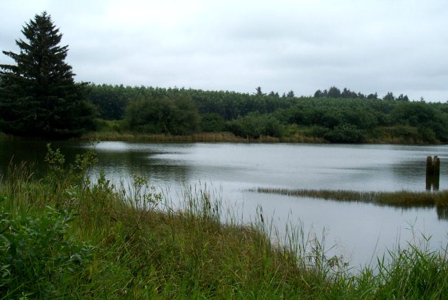 The creek where Lewis and Clark obtained their water after reaching the Pacificcoast