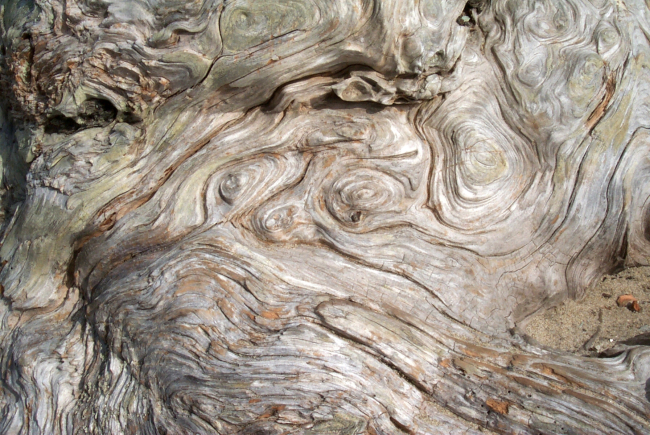 Driftwood patterns
