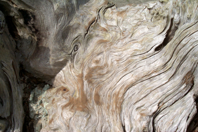 Driftwood patterns