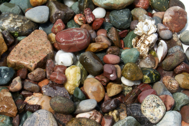 Random rocks and barnacle picked up on the beach at Gig Harbor