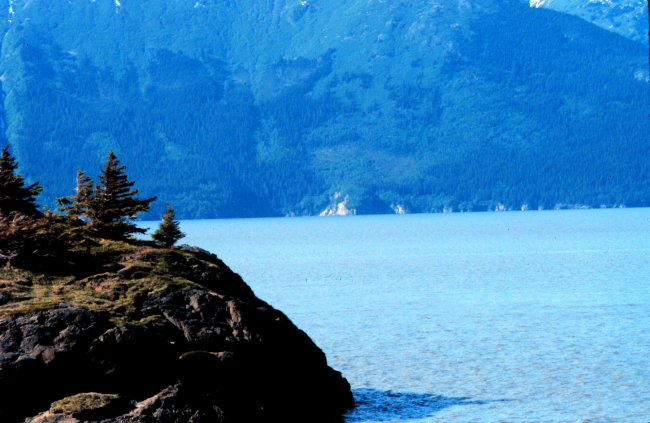 Coastal scene near Seward