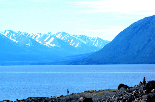 Coastal scene near Seward