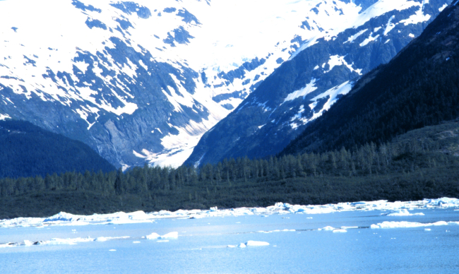 Coastal scene near Seward