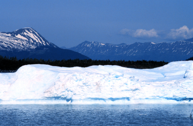 Iceberg in Seward area