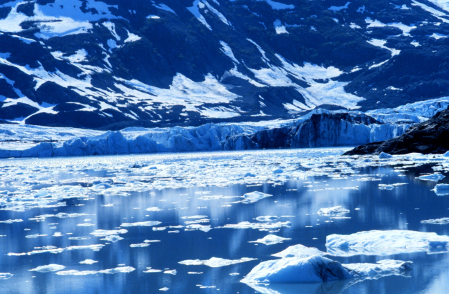 Glacier and small icebergs in Kenai Fjords