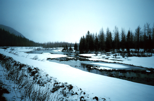 A scene along the Seward Highway