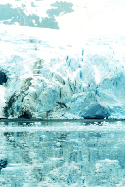 Glacier in Kenai Fjords