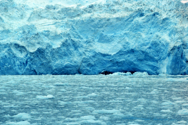Front of glacier in Kenai Fjords