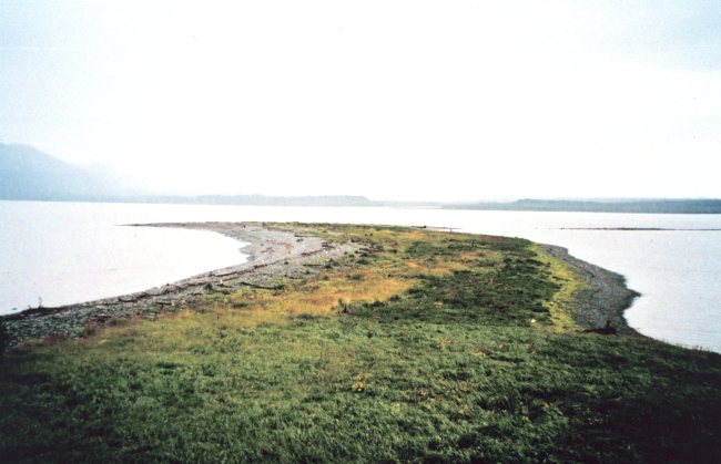 Sand spit covered with low vegetation
