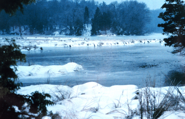 Patuxent River marsh in winter