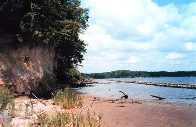 Efforts to preserve shoreline along the Severn River include installation ofsegmented jetties to diffuse wave energy