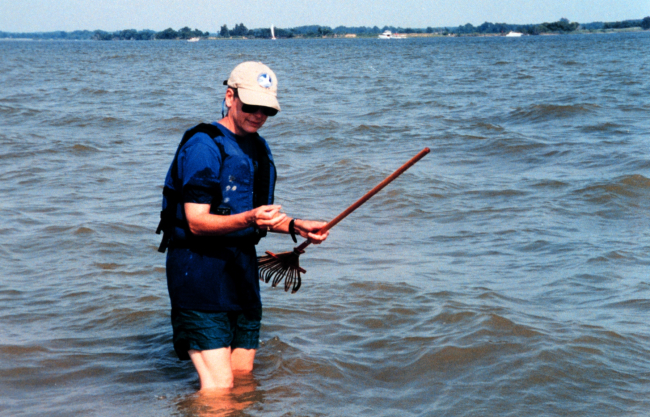 Searching for submerged aquatic vegetation (SAV's) in the Tred Avon River