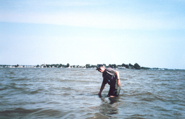 Searching for submerged aquatic vegetation (SAV's) in the Tred Avon River