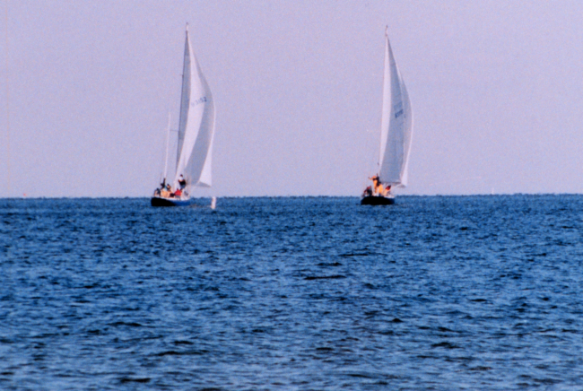 Wintertime sailing on the Patuxent River