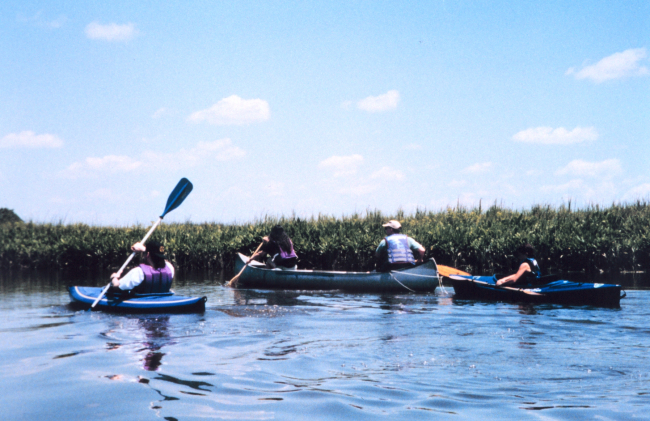 National Oceanographic Data Center employees at sea -  kayaking along thePatuxent River