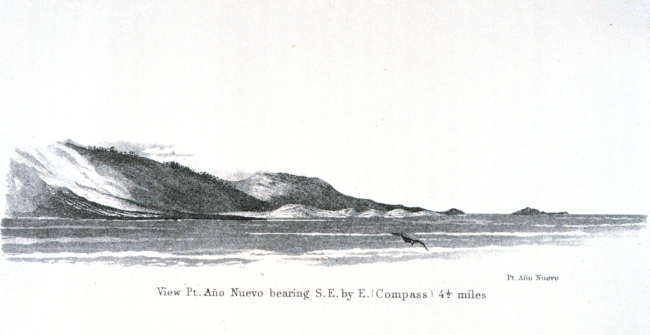 Point Ano Nuevo and Ano Nuevo Island as seen from offshore