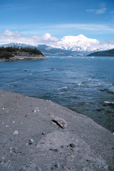 Photo #4 of Mount St