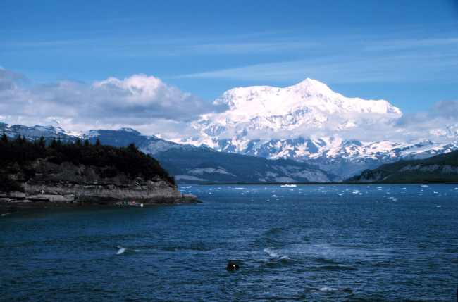 Photo #6 of Mount St
