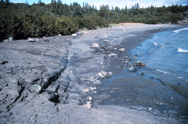 A rocky shore grading to a dark sand beach on an embayment in the Icy Bay area