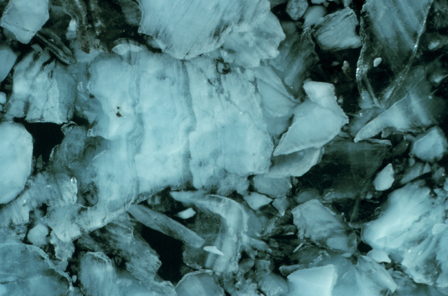Glacial ice chunks in Icy Bay