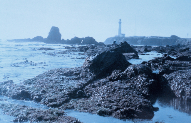 Pigeon Point Lighthouse as seen from the south at low tide on a misty day