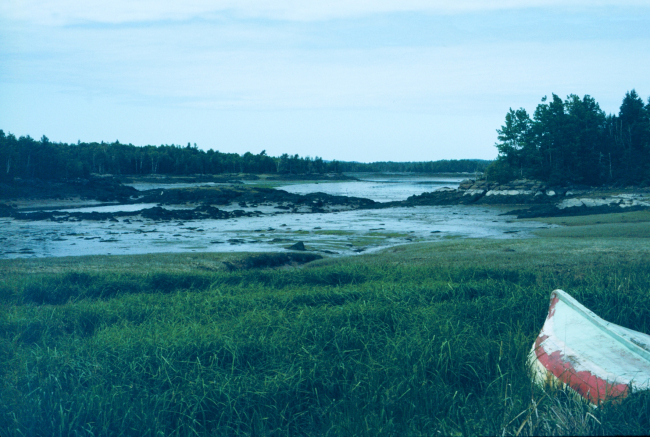 Low tide in one of many inlets in the area