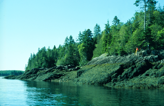 Low tide on Passamaquoddy Bay
