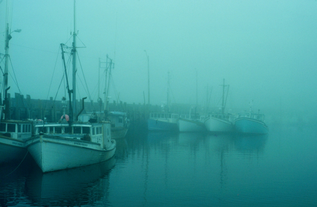 Foggy day in a New Brunswick fishing village