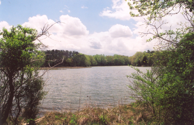Tidal creek off the Patuxent River