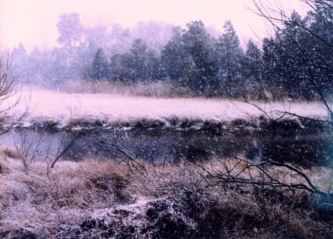 A snowy winter day in the marsh