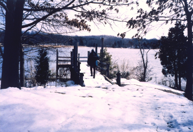 Winter along the Patuxent River