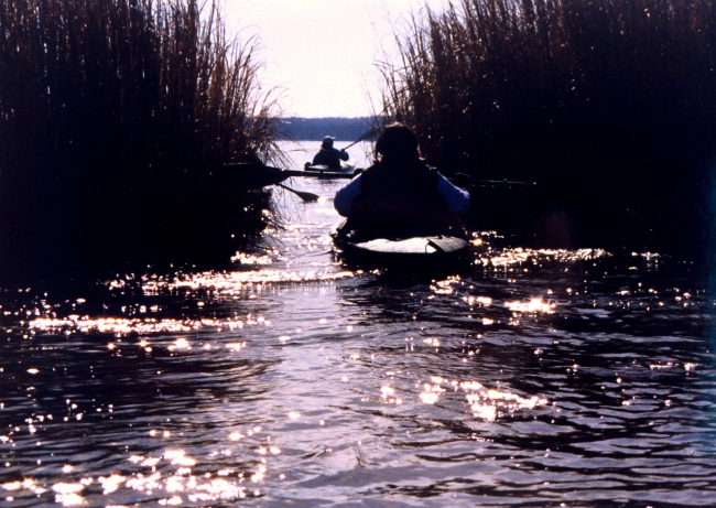 Paddling through the Patuxent marshes on a bright winter's day