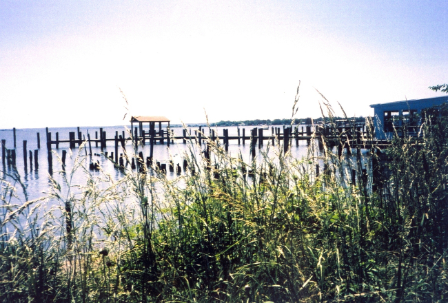 Piers, looking down river from Benedict