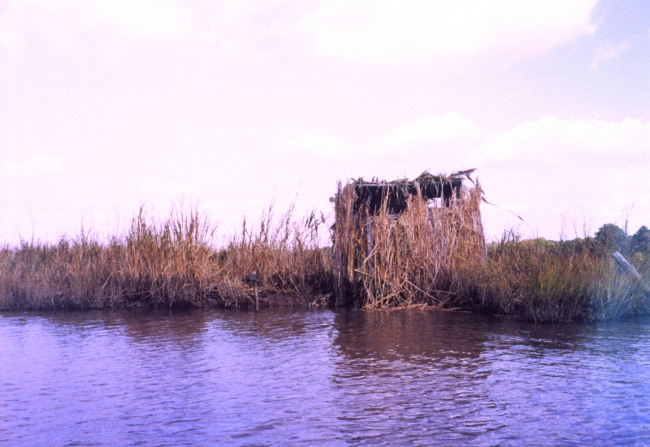 Duck blind