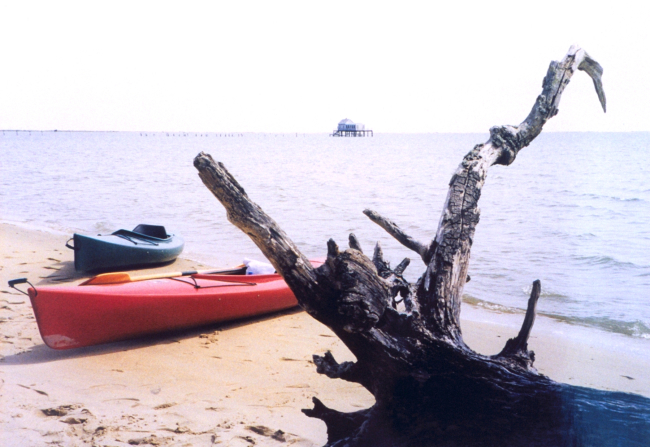 Kayaks on the beach at Chincoteague with a wonderful piece of driftwood