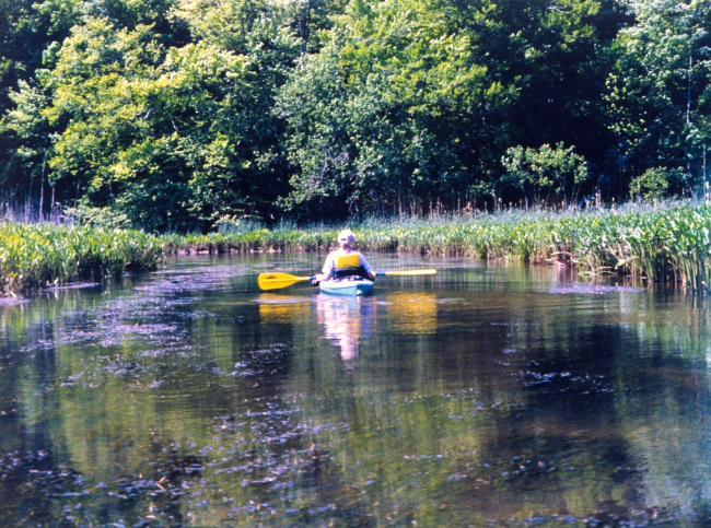 Paddling in Black Swamp Creek